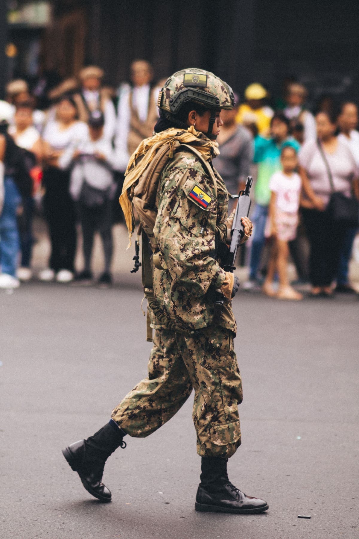 Seguridad Pública